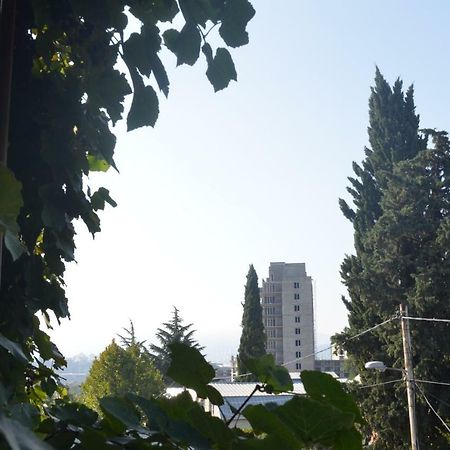 Alex'S Cosy Guesthouse ティビリシ エクステリア 写真